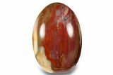 Free-Standing, Polished Petrified Wood - Madagascar #256710-1